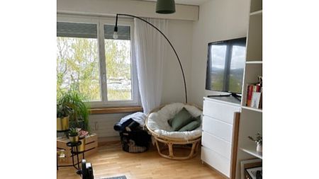 4½ Zimmer-Wohnung in Luzern, möbliert, auf Zeit - Foto 5