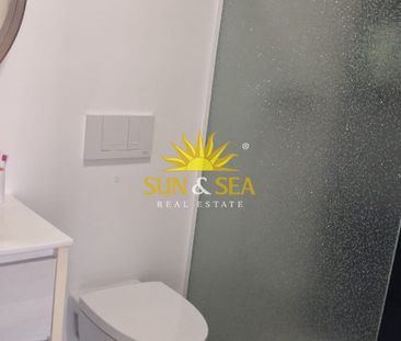 2 BEDROOM PENTHOUSE - PILAR DE LA HORADADA - Photo 6