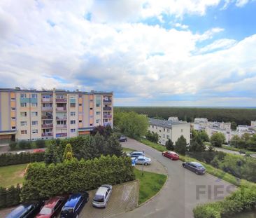 Bydgoszcz Osowa Góra, ul. Wielorybia - Photo 2