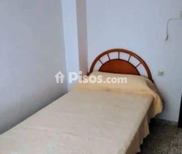 Piso en alquiler en Calle Faisán - Photo 4
