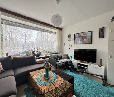 Rode Kruislaan - Foto 3