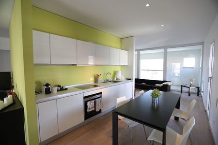Loft - Lugano - Photo 4