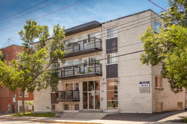 760 Rue Galt - Photo 1