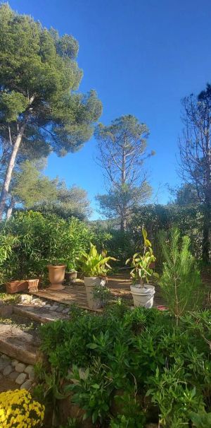 Appartement à louer 2 pièces 39.82m² - Photo 1