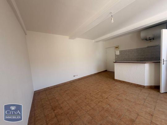 Location Appartement 1 pièce 26m² NEUVILLE SUR SAONE 69250 - Photo 1