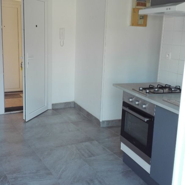 Studio entièrement rénové avec balcon et parking - Photo 1