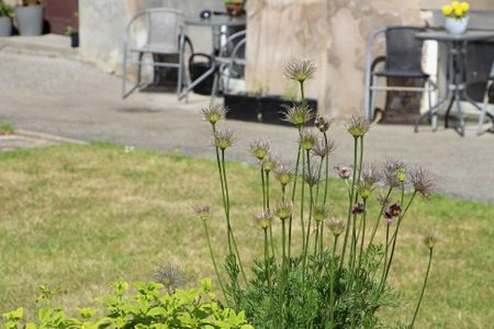 Bollhusgatan 10 A - Foto 5