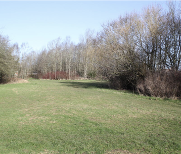 11 Elgin Court, Perton, Wolverhampton, West Midlands, WV6 7XT - Photo 6