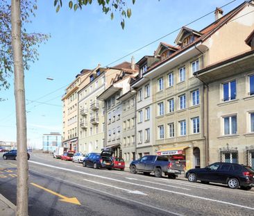 Charmant logement à louer au coeur de Fribourg ! - Photo 4