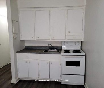 1 CH - 1 SDB - Montréal - $1,095 /mo - Photo 4