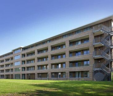 Mgr. Horsthuisstraat - Photo 1