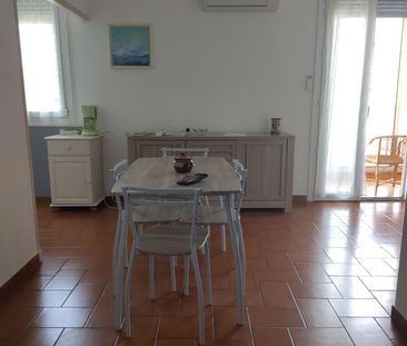 Location Appartement 1 pièce 30m² CARPENTRAS 84200 - Photo 2