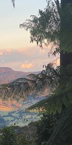 Kangaroo Valley - Photo 4