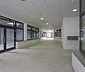 WirtschaftseinheitPÖGGSTALL VI/1 - Foto 5