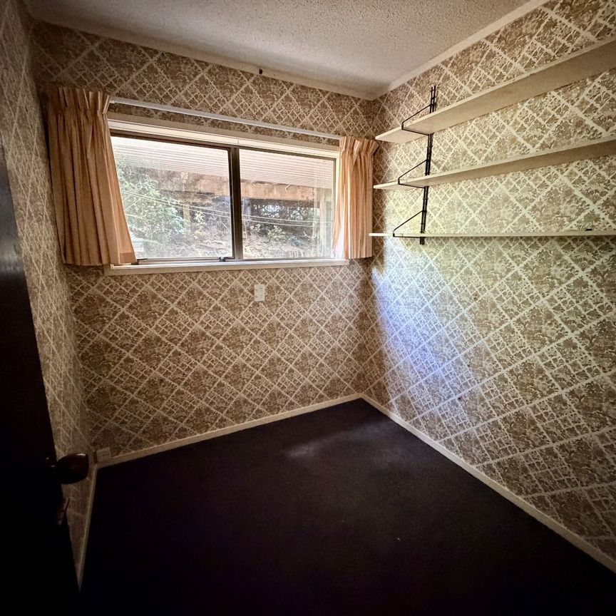 Large family home in Chatswood - Photo 1