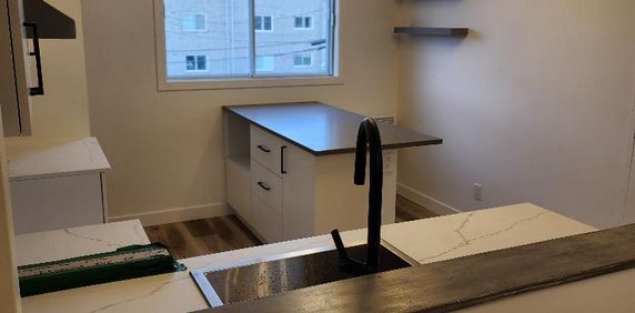 4 1/2 entièrement rénové - Cession bail 15 novembre - Photo 2