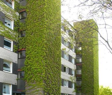 modernisierte 4- Zimmer Wohnung mit optimalem Schnitt in Duisburg-N... - Foto 1