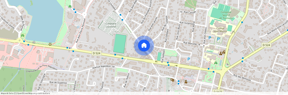 ST PAUL LES DAX (40990)