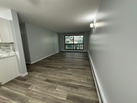 RENOVATED 1-Bedroom Apartment - SMALL PET FRIENDLY! - Photo 2