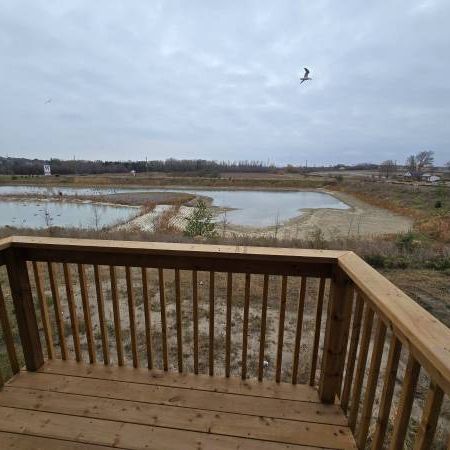 Brand-New 3-Bed + Den, 3-Bath (Rexton Dr) - Photo 4