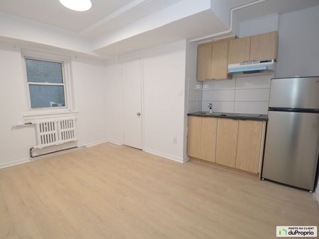 Studio-3065, boulevard Édouard-Montpetit, Côte-des-Neiges / Notre-Dame-de-Grâce à louer - Photo 3