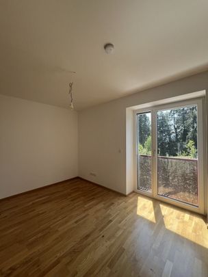 Wohntraum: Tolle 2-Zimmerwohnung in Bestlage - Foto 1