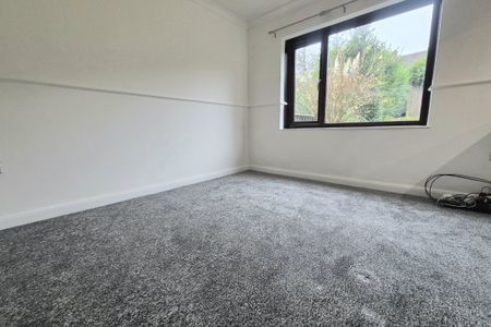 Cousin Lane - Photo 5