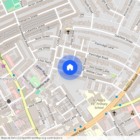 Elm Street, CF24 3QS, Roath