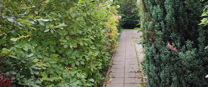 +++Gemütliche 2-Raum-Altbau-Wohnung mit Balkon in Chemnitz-Kappel - Foto 1