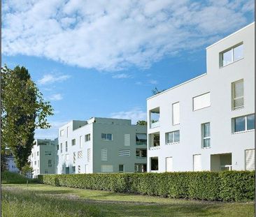 Wohnen im steuergünstigen Allschwil - Photo 1