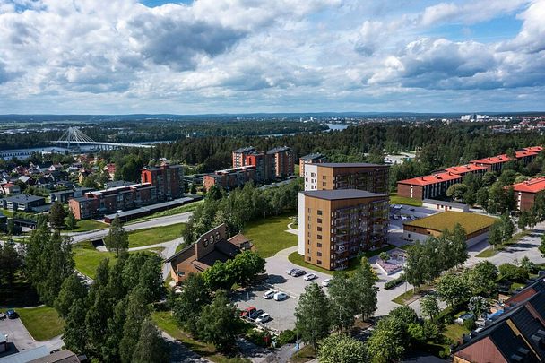 Carlshöjd, Umeå, Västerbotten - Photo 1