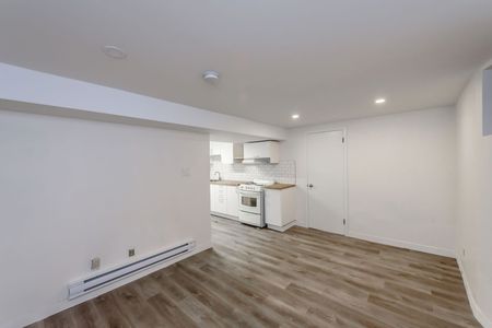 For Lease - 191 Sherman Avenue Unit# BSMNT, Hamilton, Ontario - Photo 2