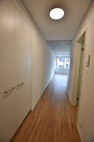 Modern 3-room apartment with large shared roof terrace - Photo 3