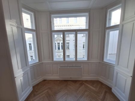 Sanierte Altbauwohnung Nahe Alois-Drasche-Park in ruhiger Lage unbefristet - Photo 4