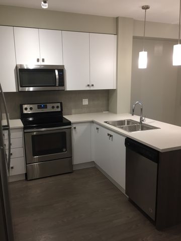 PARALLEL ONE APTS - 404 - P1-404 - Photo 3