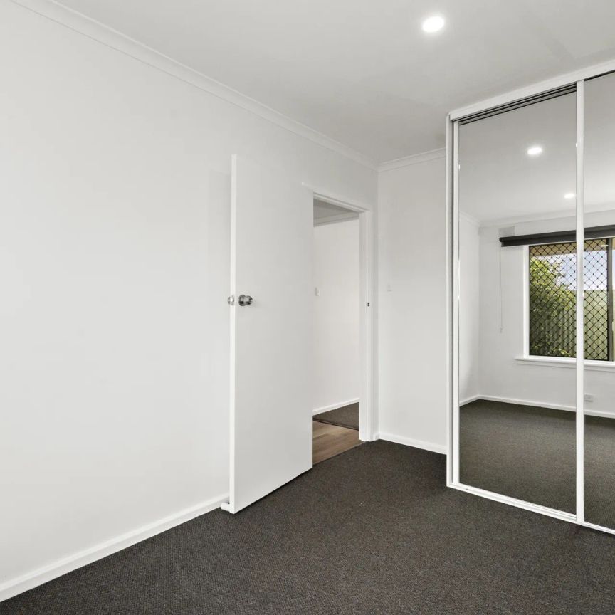 Renovated Two Bedroom Unit in Perfect Camden Park Location - Photo 1
