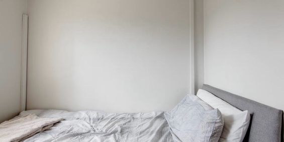 Room in a Shared House, Prince Of Wales Road, S2 - Photo 3