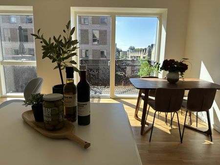 Hollænderen 2, 3. TV - Photo 2