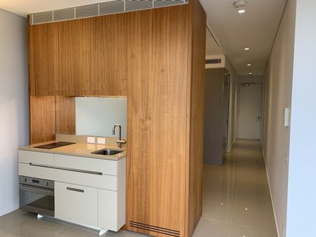 8 Park Lane, Chippendale NSW 2008 - Apartment For Rent | Domain - Photo 4