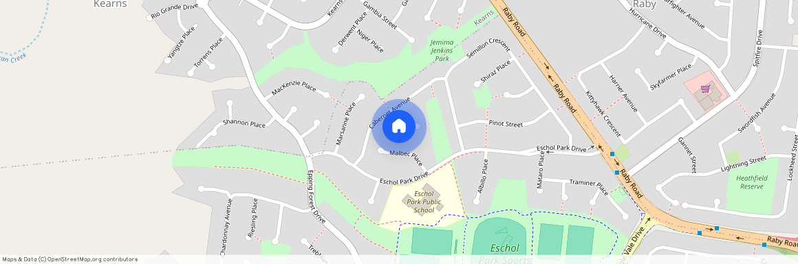 6 Muscat Place, Eschol Park NSW 2558