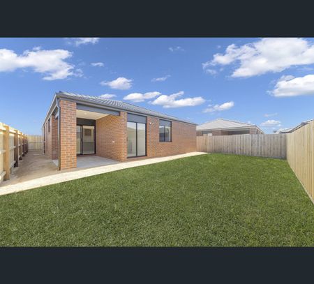 31 Ficus Circut, Wallan, Vic 3756 - Photo 2