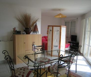 Location Appartement 1 pièce 37m² ANNONAY 07100 - Photo 1