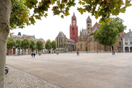 Merkatplantsoen 20-A05, Kommelkwartier, 6211MV, Maastricht - Foto 5