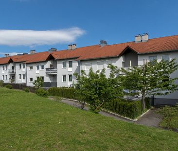 HOCHWOLKERSDORF II - Photo 2