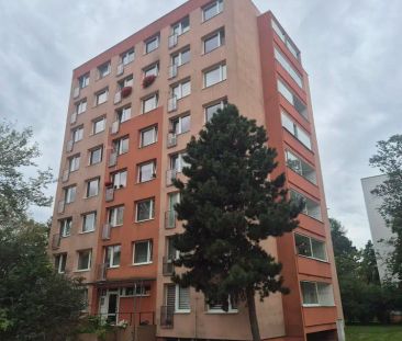 Pronájem bytu 2+1/L po kompletní rekonstrukci, 45,4 m - Photo 1