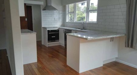 Newly renovated 1960's style home. - Photo 3