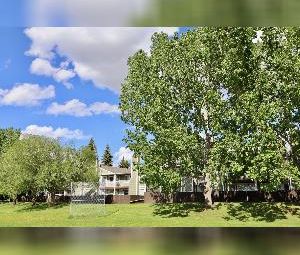 3 Bed 1.5 Bath South Edmonton Townhome with Balcony - Photo 4