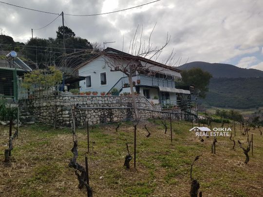 Ενοικιάζεται, Εξοχική Μονοκατοικία, Καστρίτσι - Photo 1