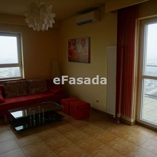 EFS-MW-3 Mieszkanie na wynajem - Photo 1