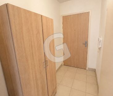 Location Appartement 1 pièce 24m² - Photo 4